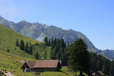 Auf der Alm b