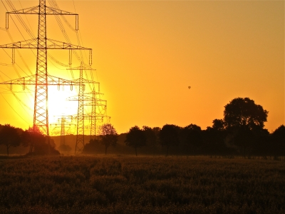 Münsterland in den frühen Morgenstunden