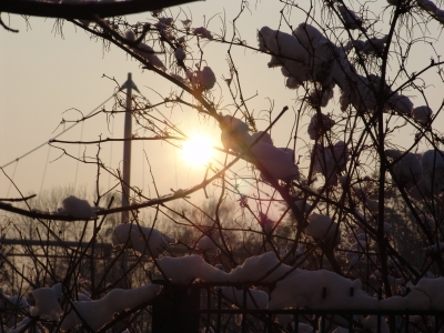 Winternachmittag im Ruhrgebiet