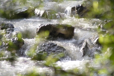 Steine im Fluss