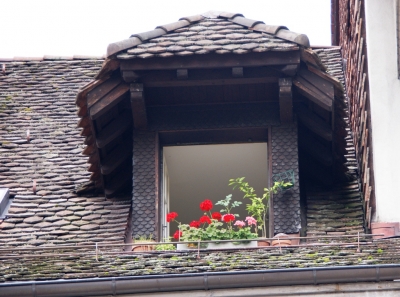 Altstadt-Fenster von Bern 3