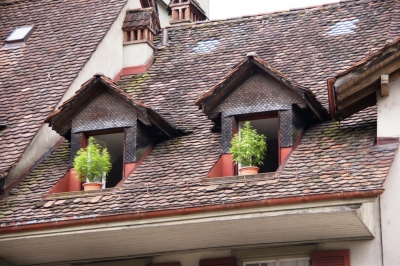 Altstadt-Fenster von Bern 4
