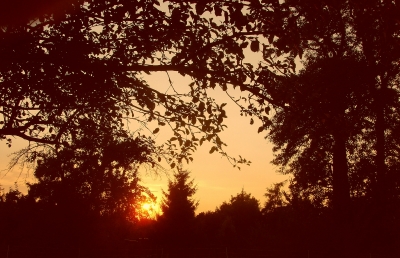 Radebeuler Obstbaumwiesen - Sonnenuntergang