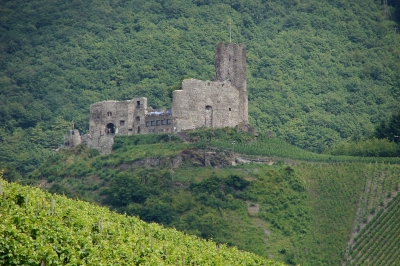 Burg Landshut bei Bernkastl-Kues #5