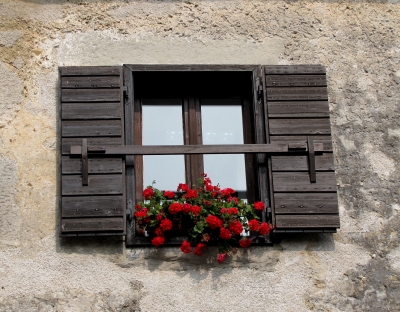 Blumenschmuck am Fenster