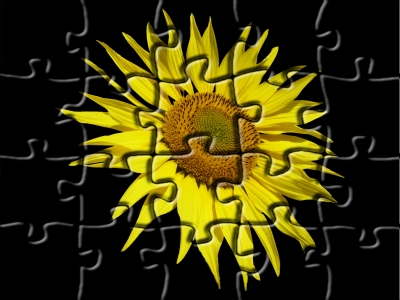 Puzzle Sonnenblume
