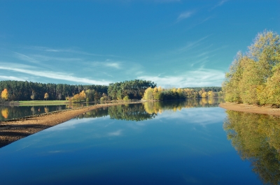 goldener herbst (2)