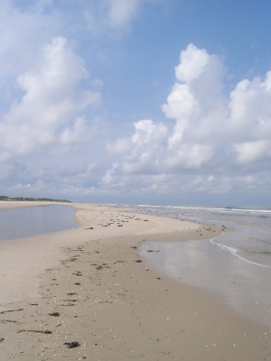 Watt-Insel Amrum