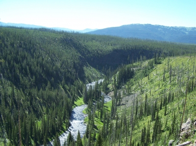 Flusstal in Wyoming