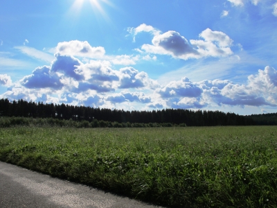 Wolken Wald und Wiese