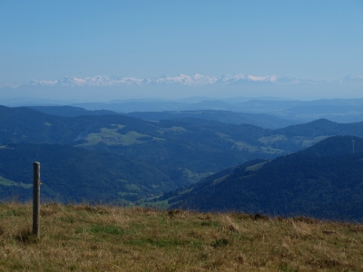 Alpensicht im Schwarzwald