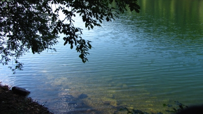 Klares Wasser im See