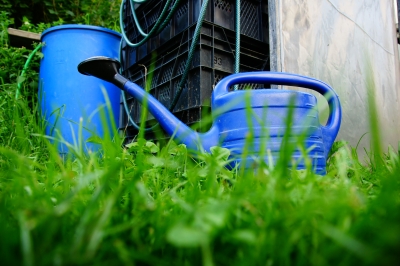 Blaue Gießkanne im Gras