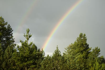 Doppelter Regenbogen