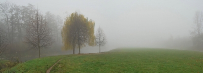 Pegnitz im Nebel