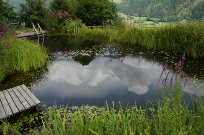 Wolken im Teich