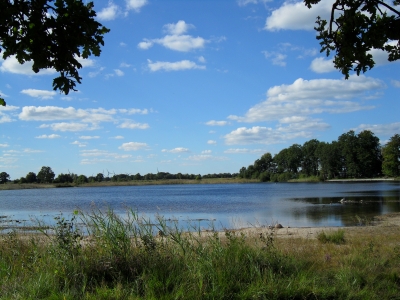 Wollingster See