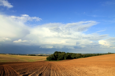 Landschaft bei Meißen oder früher Herbstbeginn