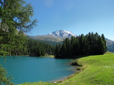 Typisch Bündnerland