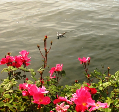 Allein auf dem Wasser