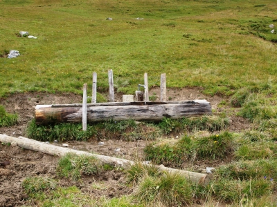 Tränke auf der Bergwiese