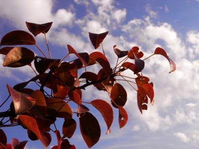 der herbst kommt mit großen schritten