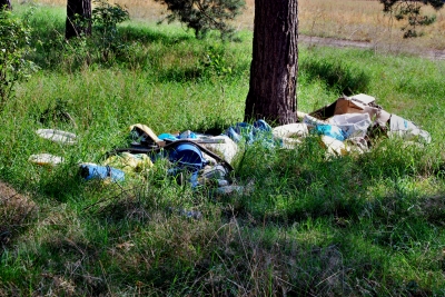 Müllkippe im Wald