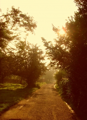 Herbstmorgen in den Streuobstwiesen