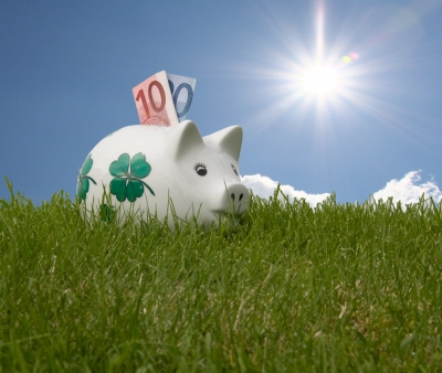 Sparschwein im Grünen mit 30€ Sparschwein im Grünen mit 30€