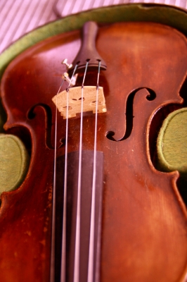 Violine