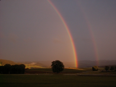 Regenbogen