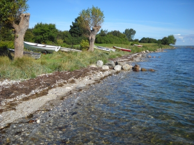 Klintholm Strand/Fünen (Dänemark)