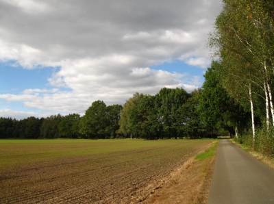 Fahrradweg in der Lausitz