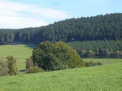 Ein Stück Sauerland