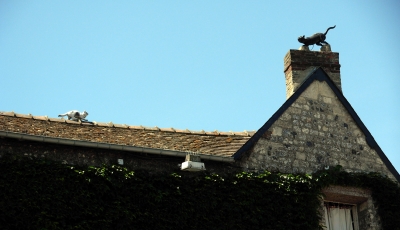 Dach und Kätze