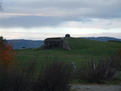 Bunker in Elsass