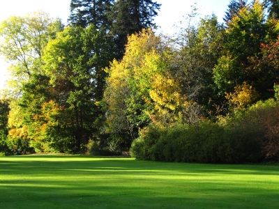 Herbstfarben mit Schräglicht