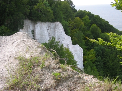 Kreidefelsen auf Rügen