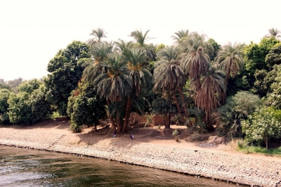 Wohnen am Nil