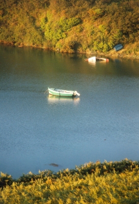 Halb versunkene Boote in einem See in Frankreich (1997)