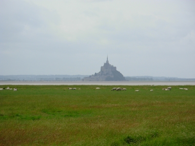 Salzwiese Mont Saint Michel