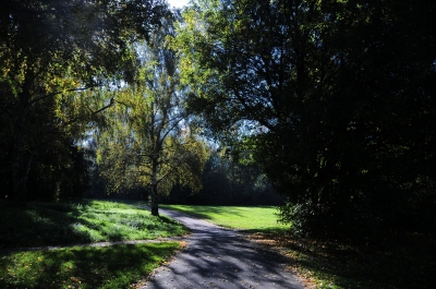 ein kleiner weg