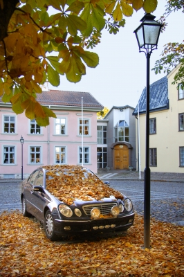 Herbstauto3