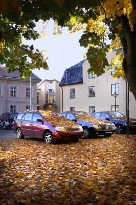 Herbstauto2
