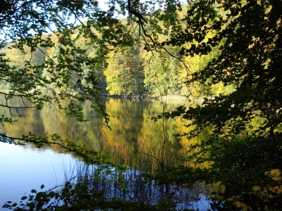 Indian Summer am Ukleisee