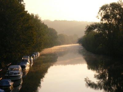 Aare im Morgentau