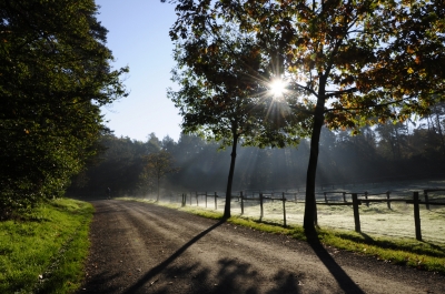 Herbstliche Morgensonne