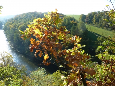 Herbst_2