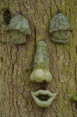 Face in the tree