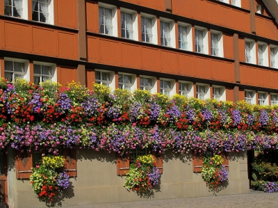 Appenzeller-Haus im Blumenschmuck